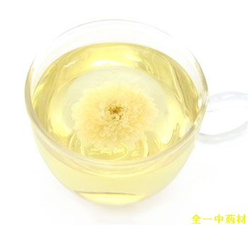 贡菊花茶泡水喝